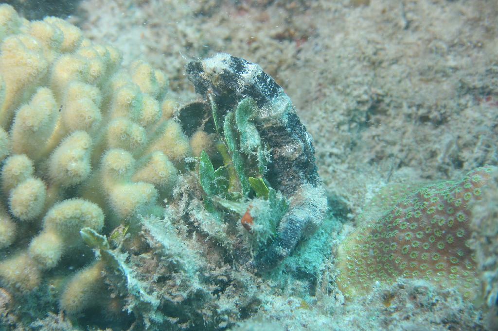 2008-05-17 17-59-00 H.JPG
